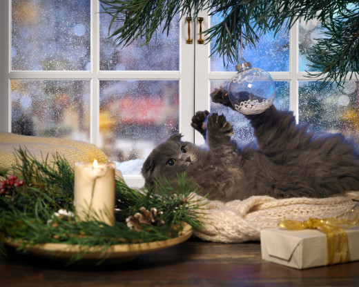 �1763351 �������(a): ����������:2000x1600